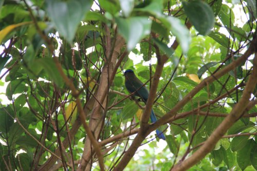 IMG_3777